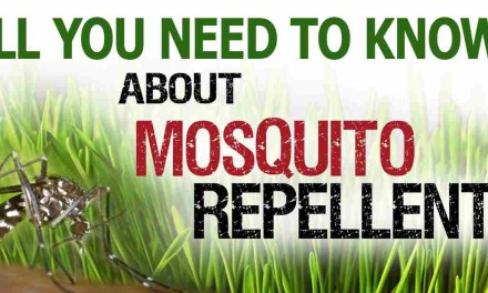 Strongest Mosquito Repellents With DEET • Mosquitofixes