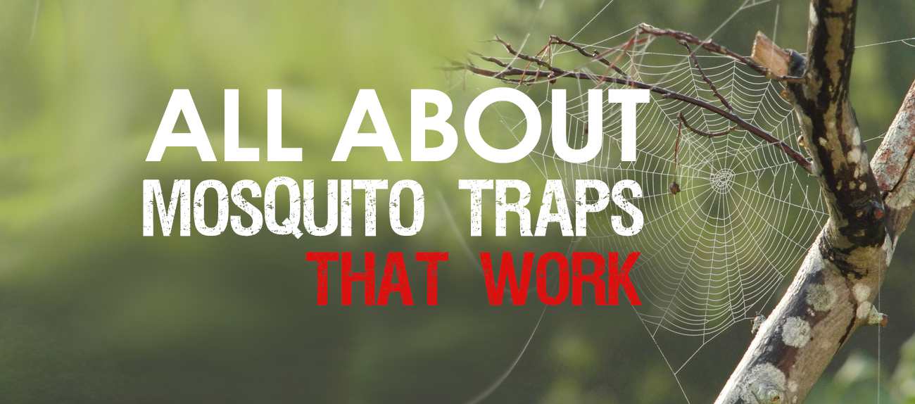 best mosquito traps