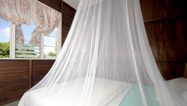 mosquito netting bed