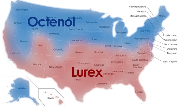 Mosquito Traps Octenol vs Lurex