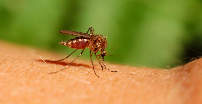 What is the best repellent against Zika