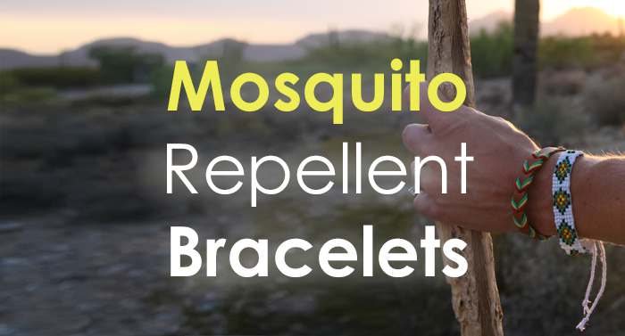 Research found these mosquito repellents are the most effective ways to get  rid of the pests - CBS News
