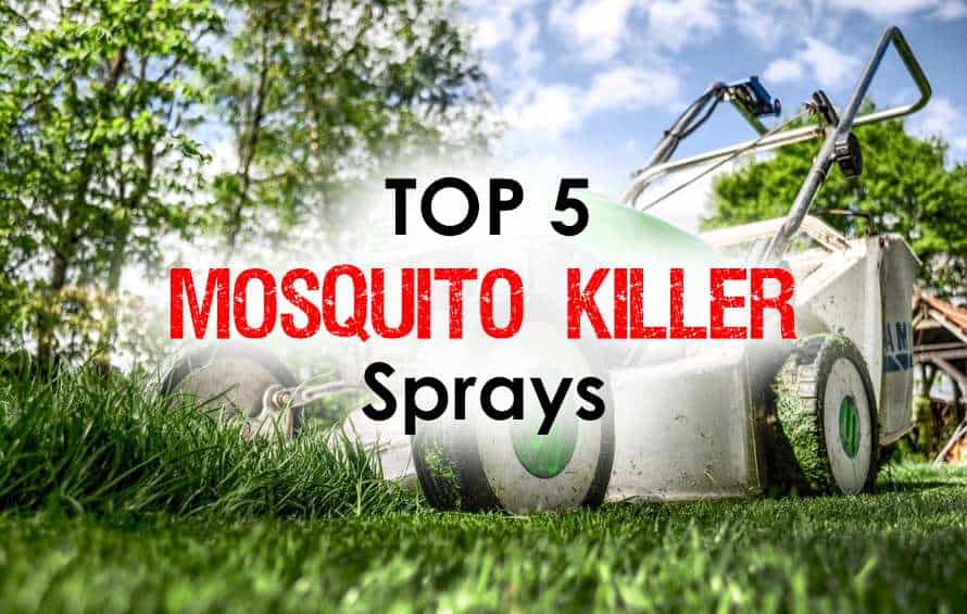 best backyard mosquito control