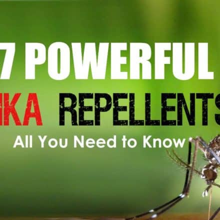 Strongest Mosquito Repellents With DEET | Mosquitofixes