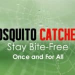 Mosquito Catchers: Stay Bite-Free Once and for All