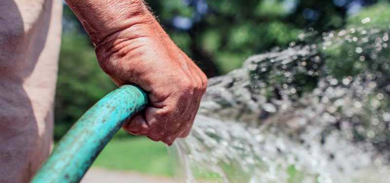 mosquito control in garden